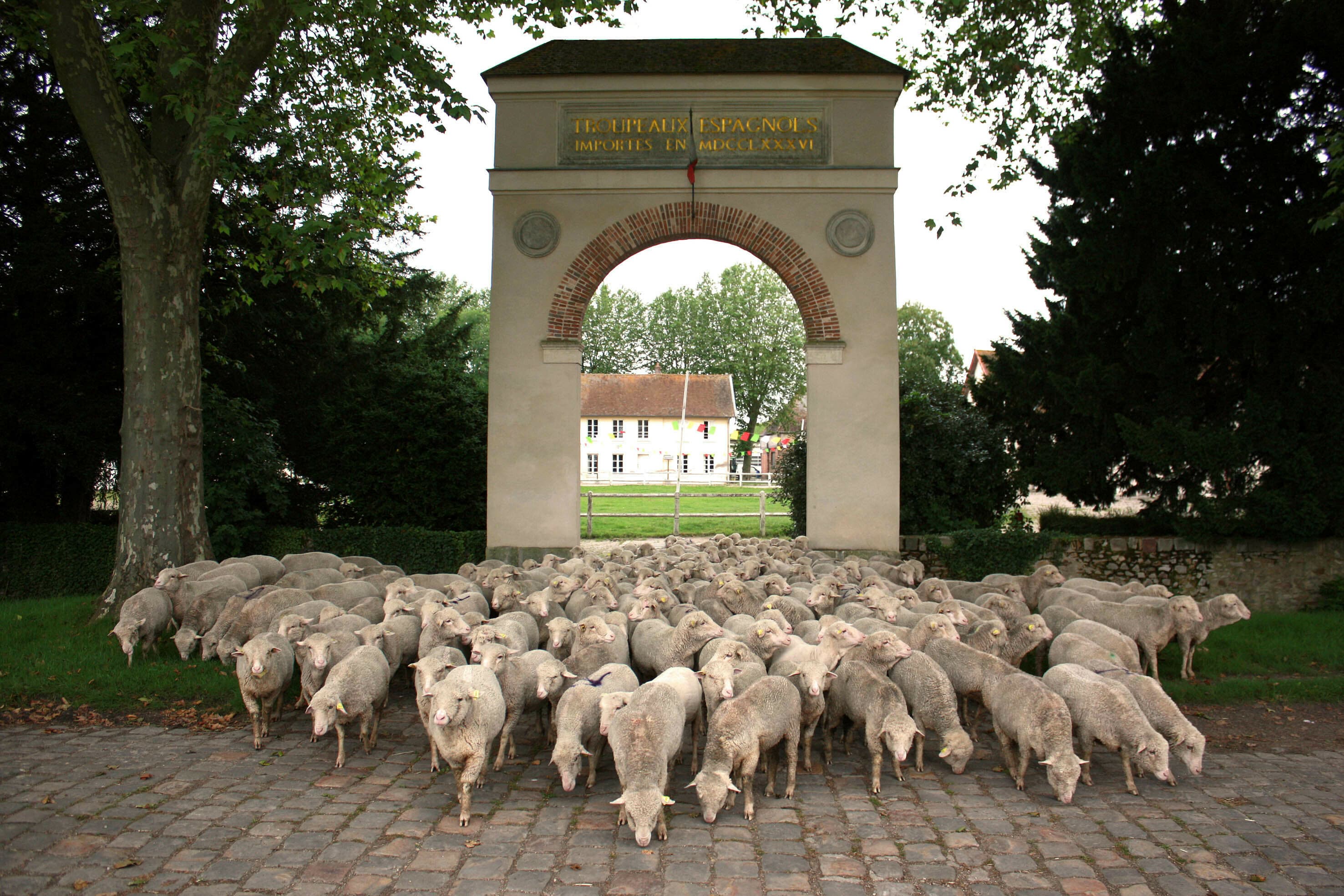 Visite de notre exploitation agricole biologique