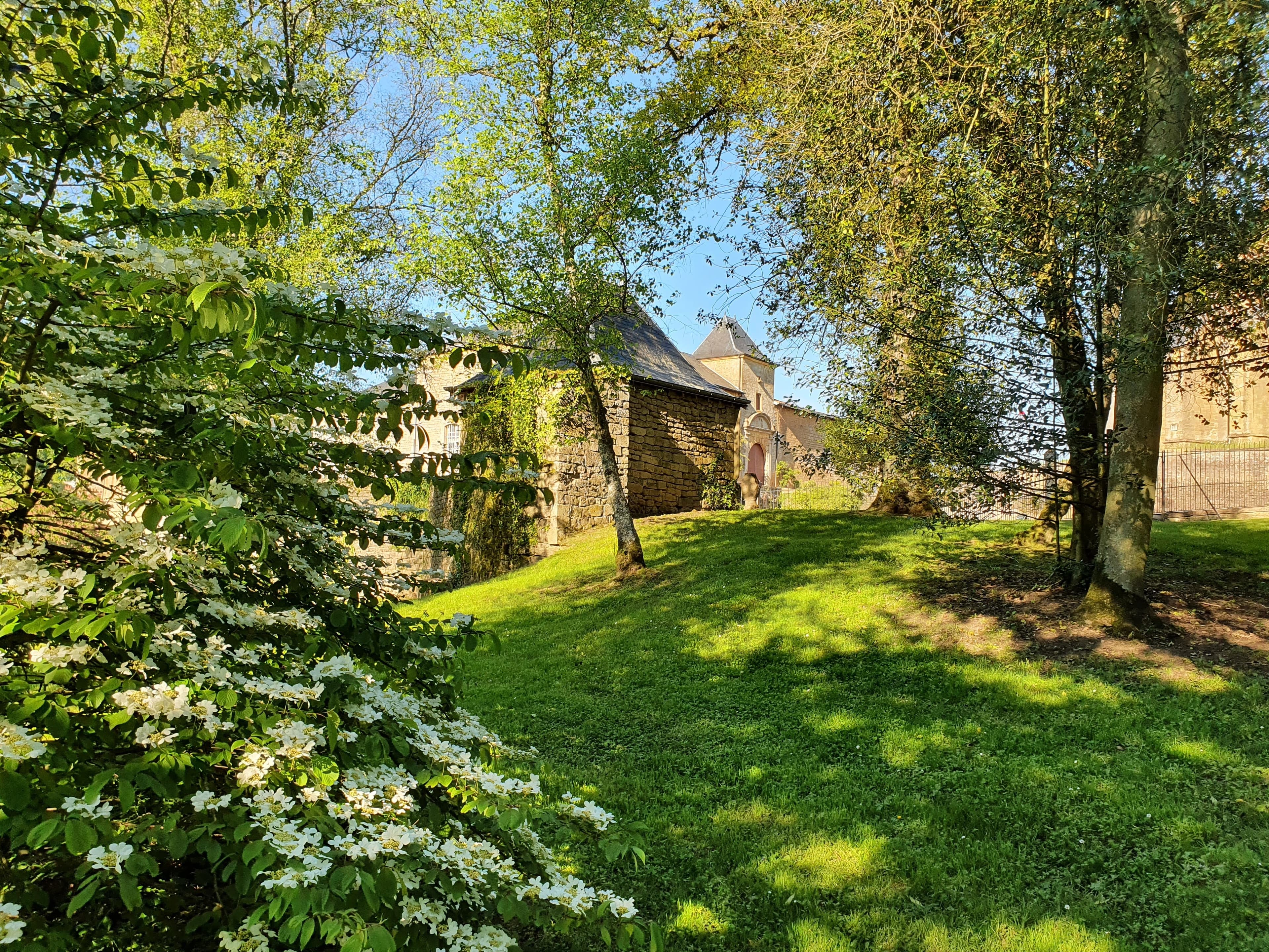 Les Arbres Fabuleux de Cons-la-Grandville