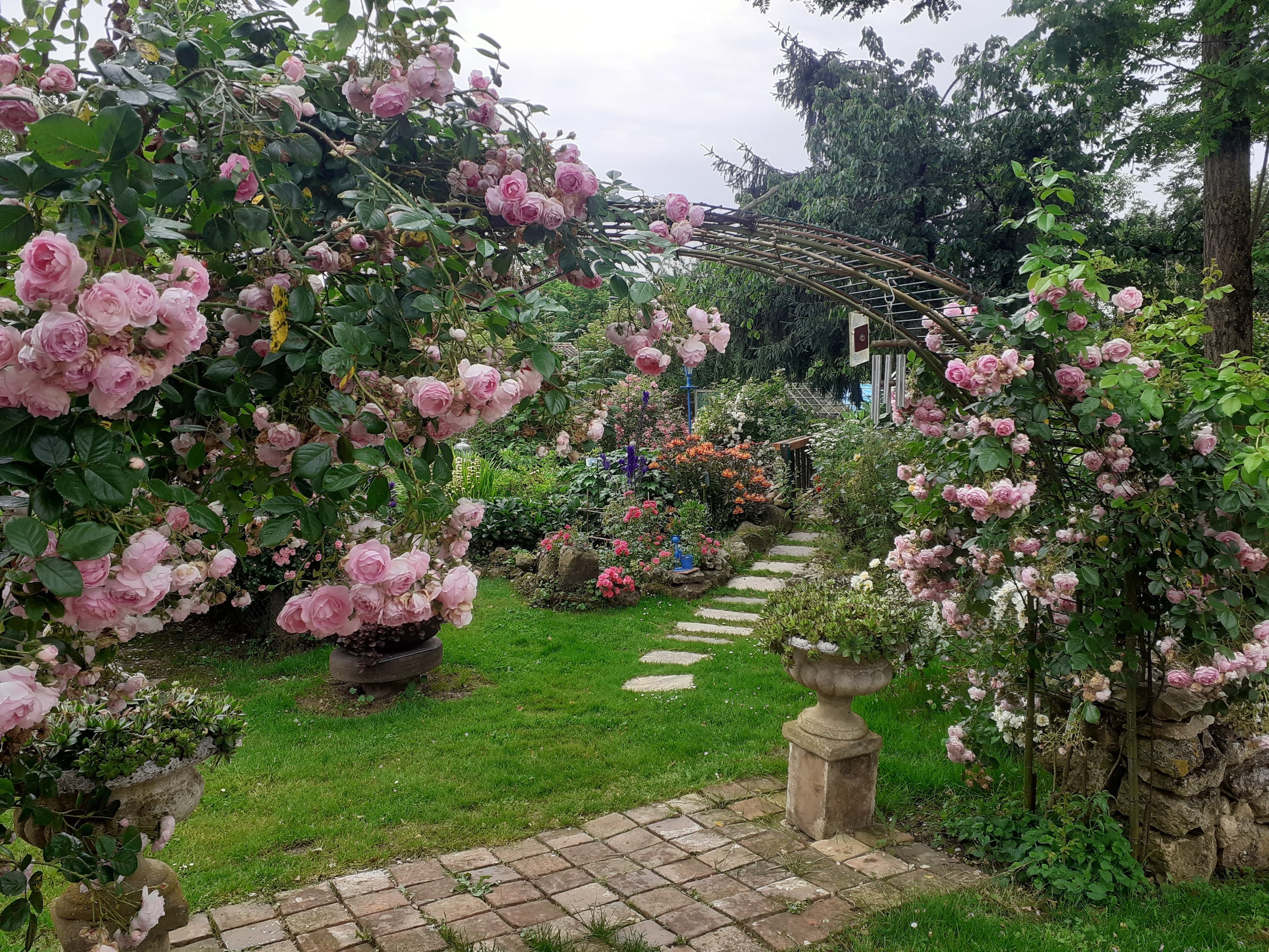 Découverte d'un jardin à l'ambiance bucolique et tout en couleurs