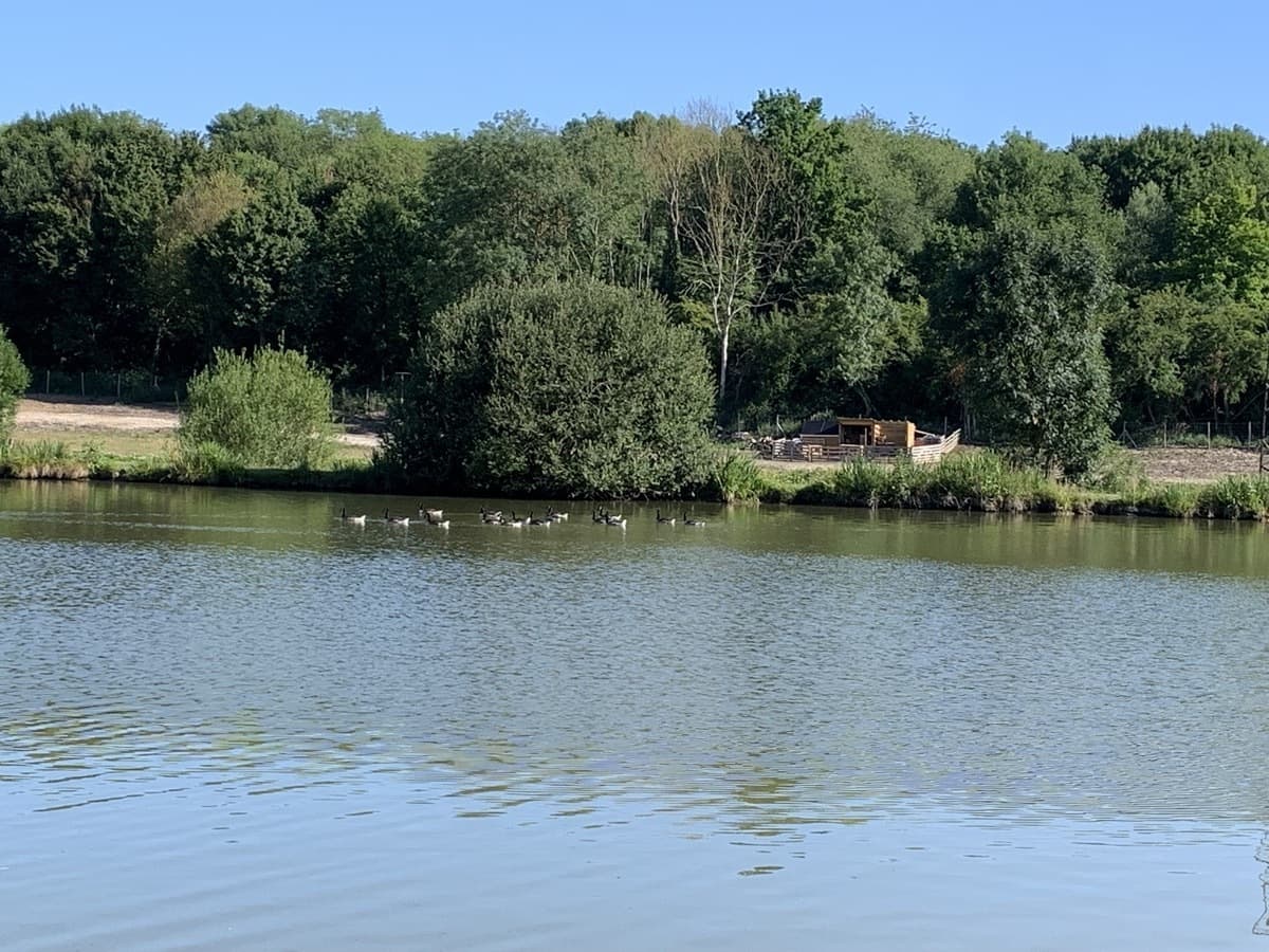 Rando 1/2 journée