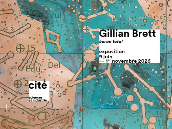 Gillian Brett : Écran total