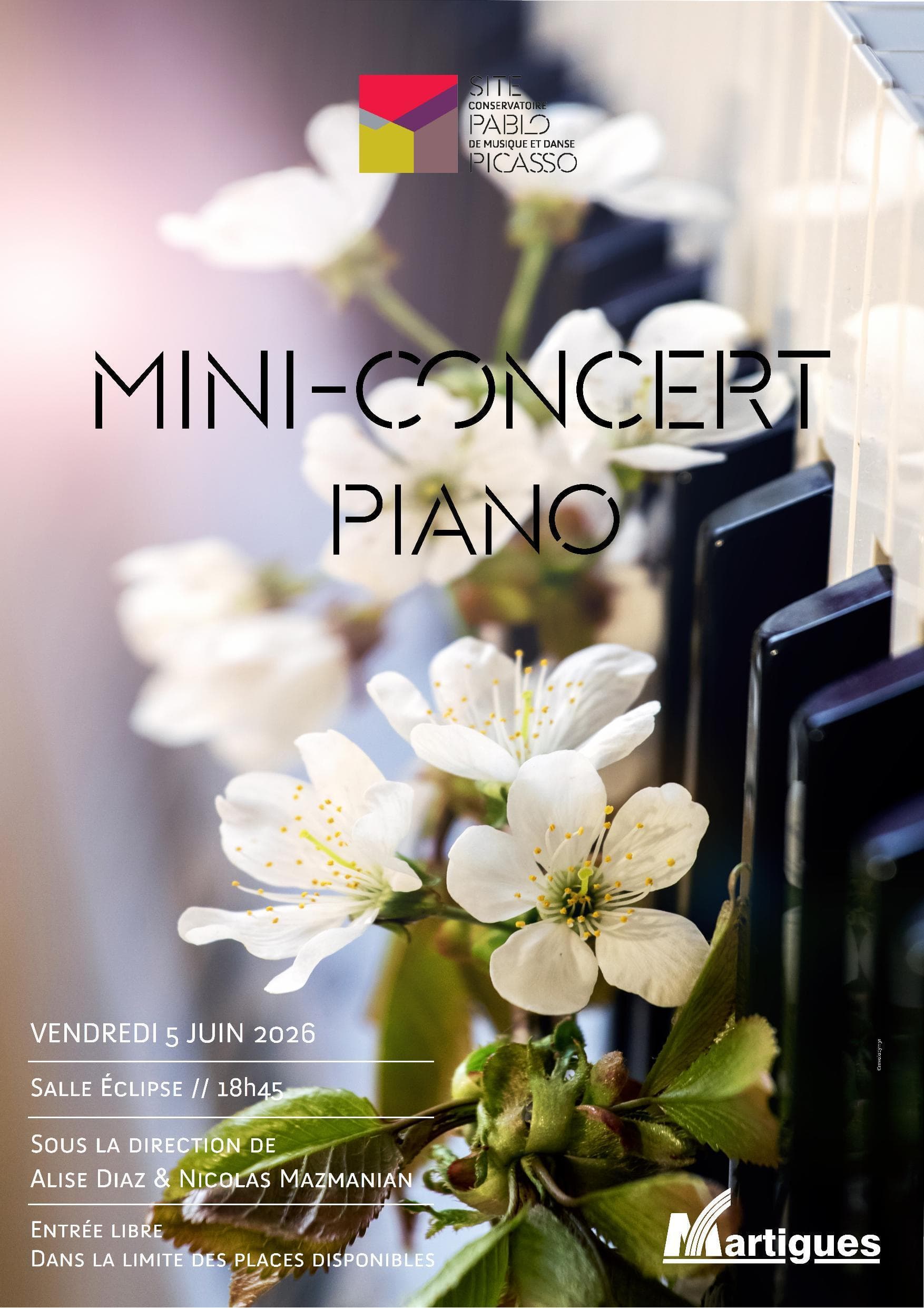 Mini concert Piano
