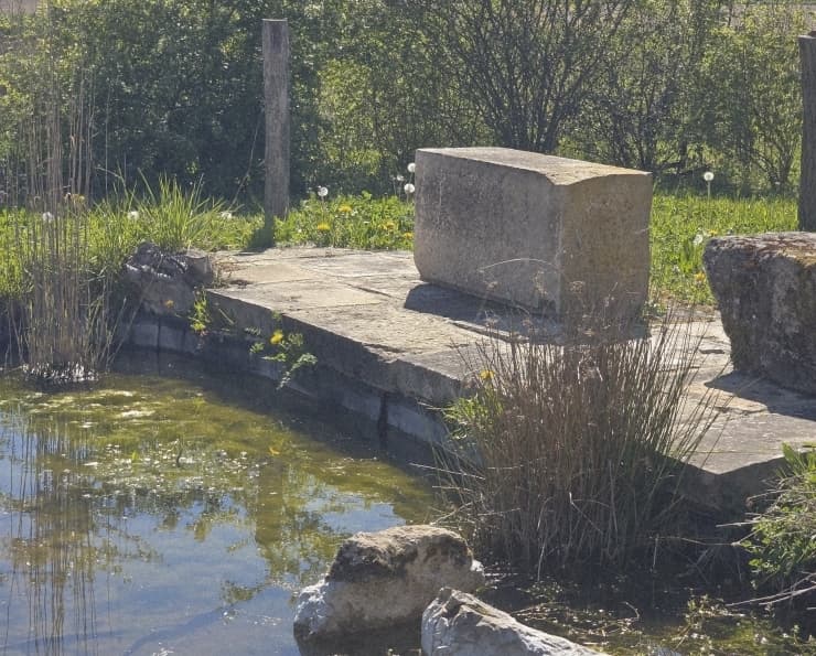 Visite d'un jardin naturel et nourricier