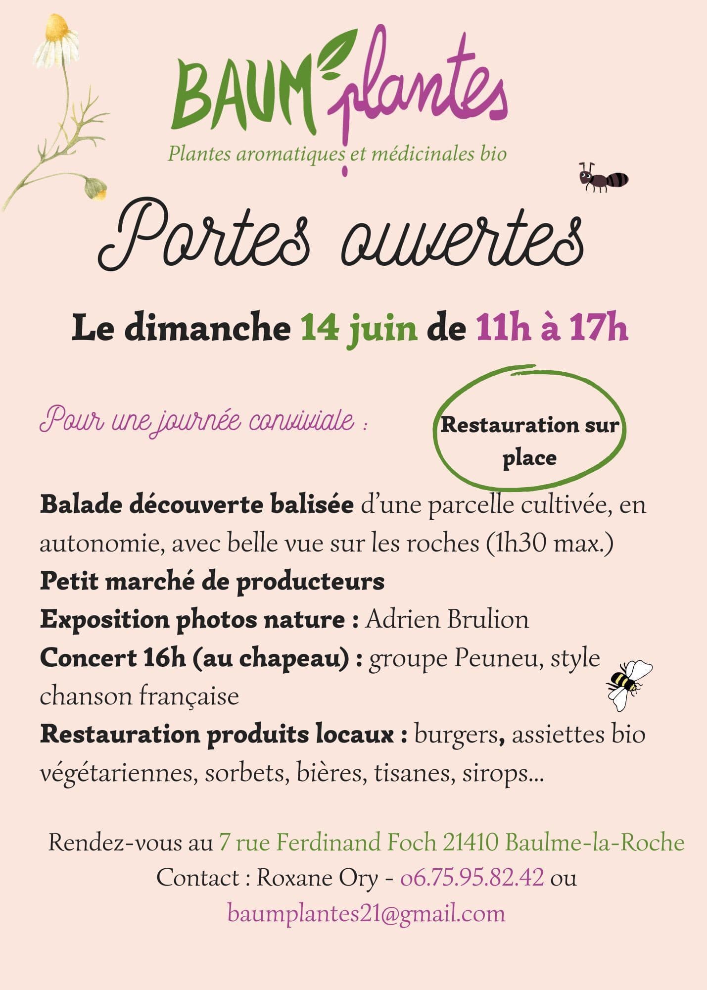 Baum'Plantes ouvre ses portes