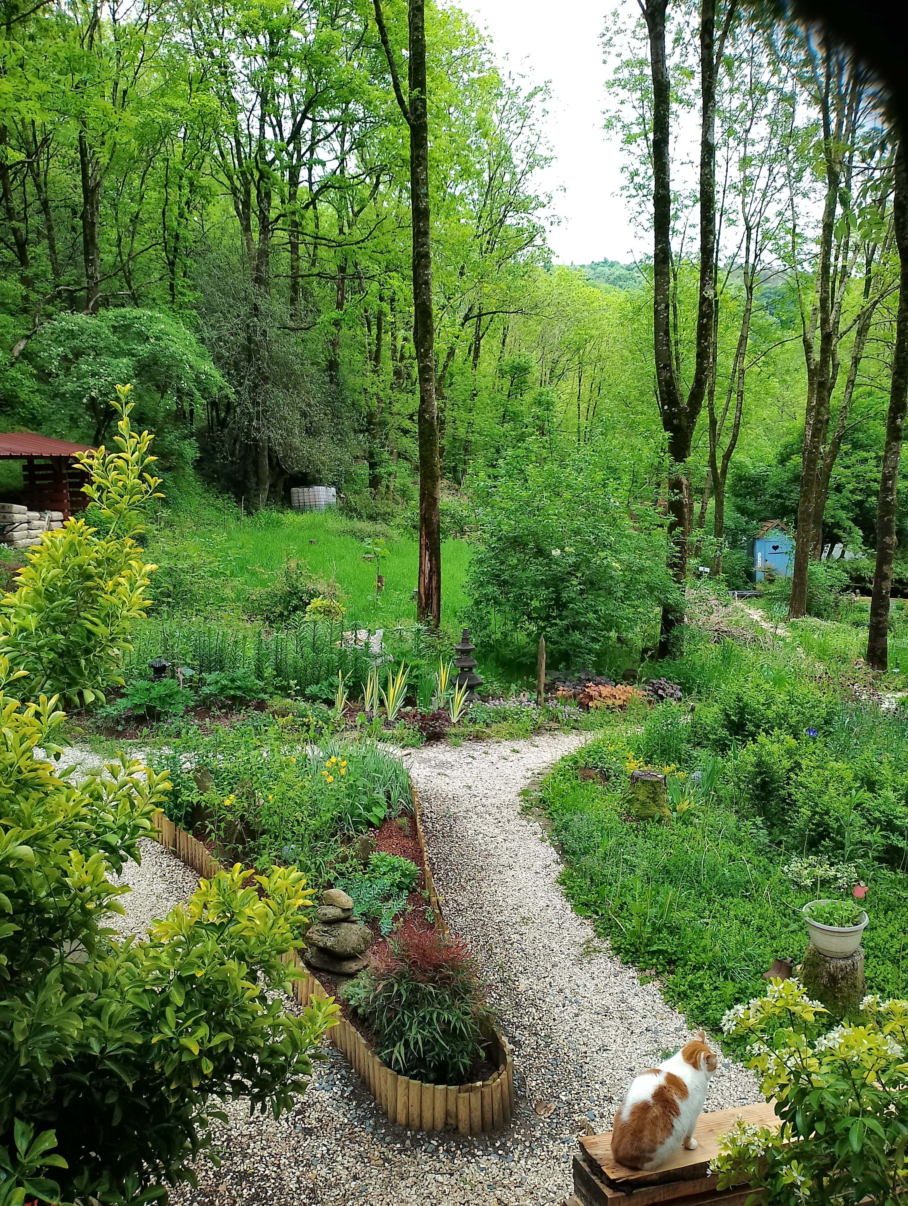 Visite libre du jardin botanique