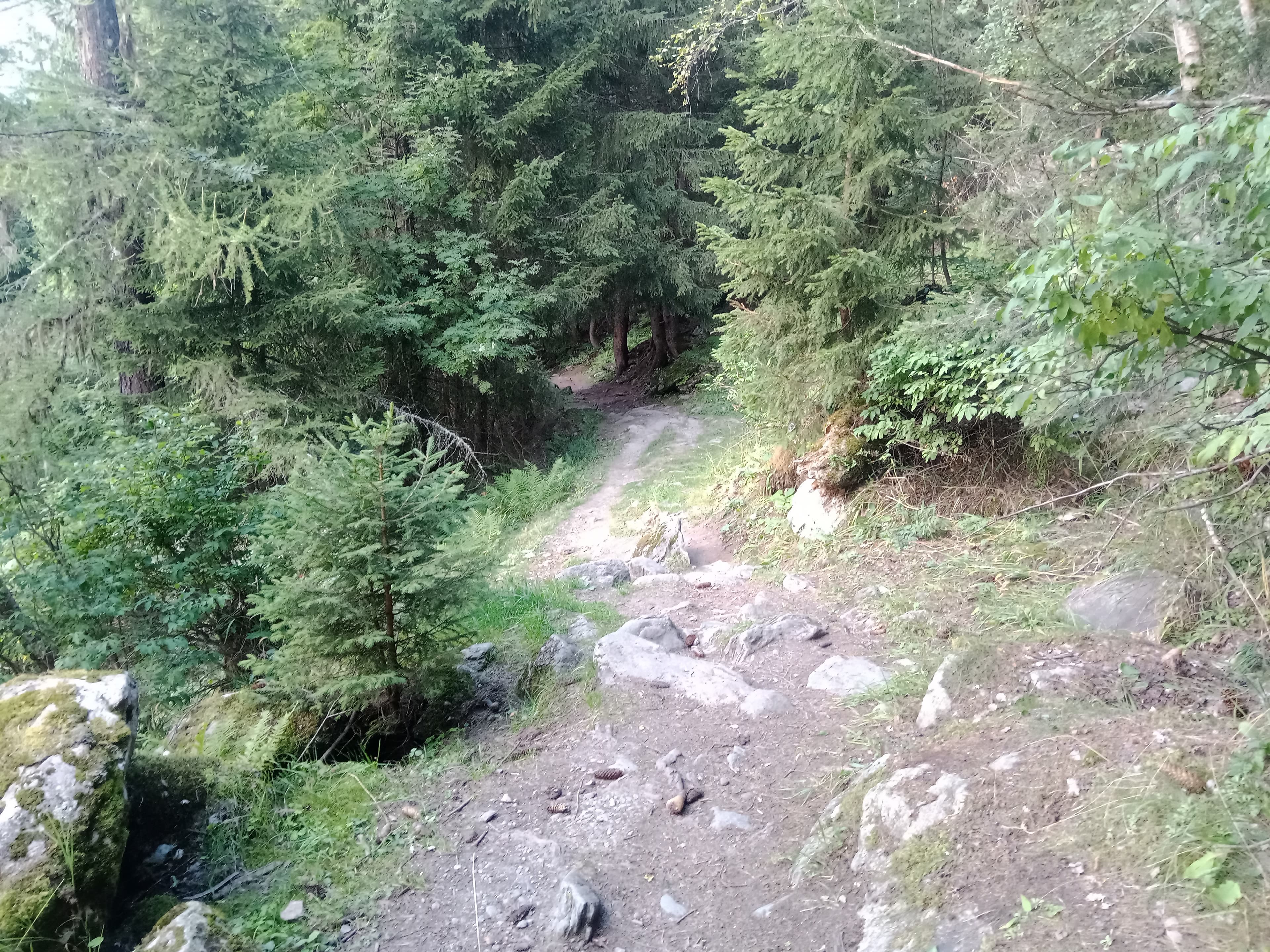 WHR Stage 1.1 Chamonix – Les Tines — Auvergne-Rhône-Alpes