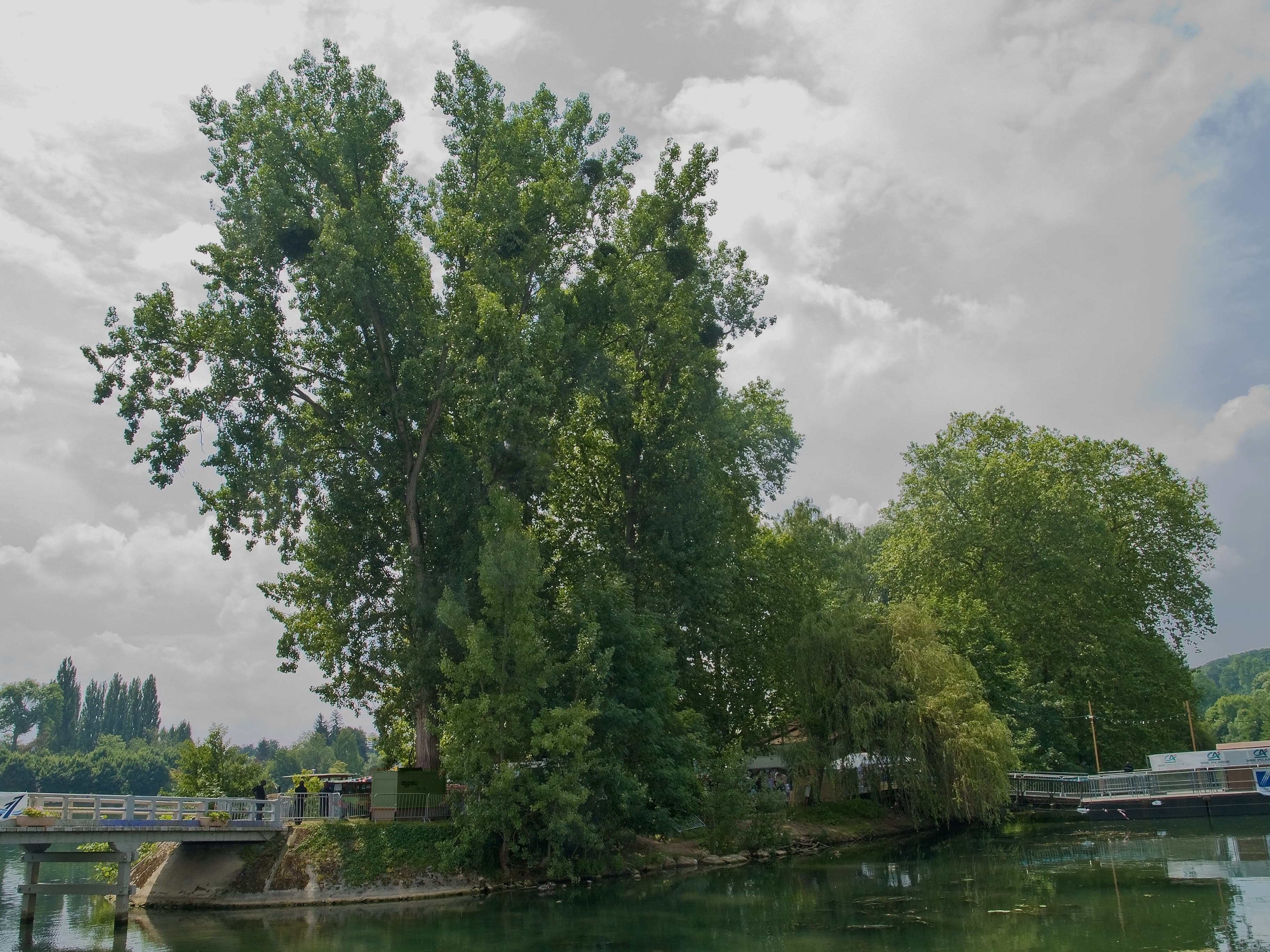 Petit Barbeau — Île-de-France