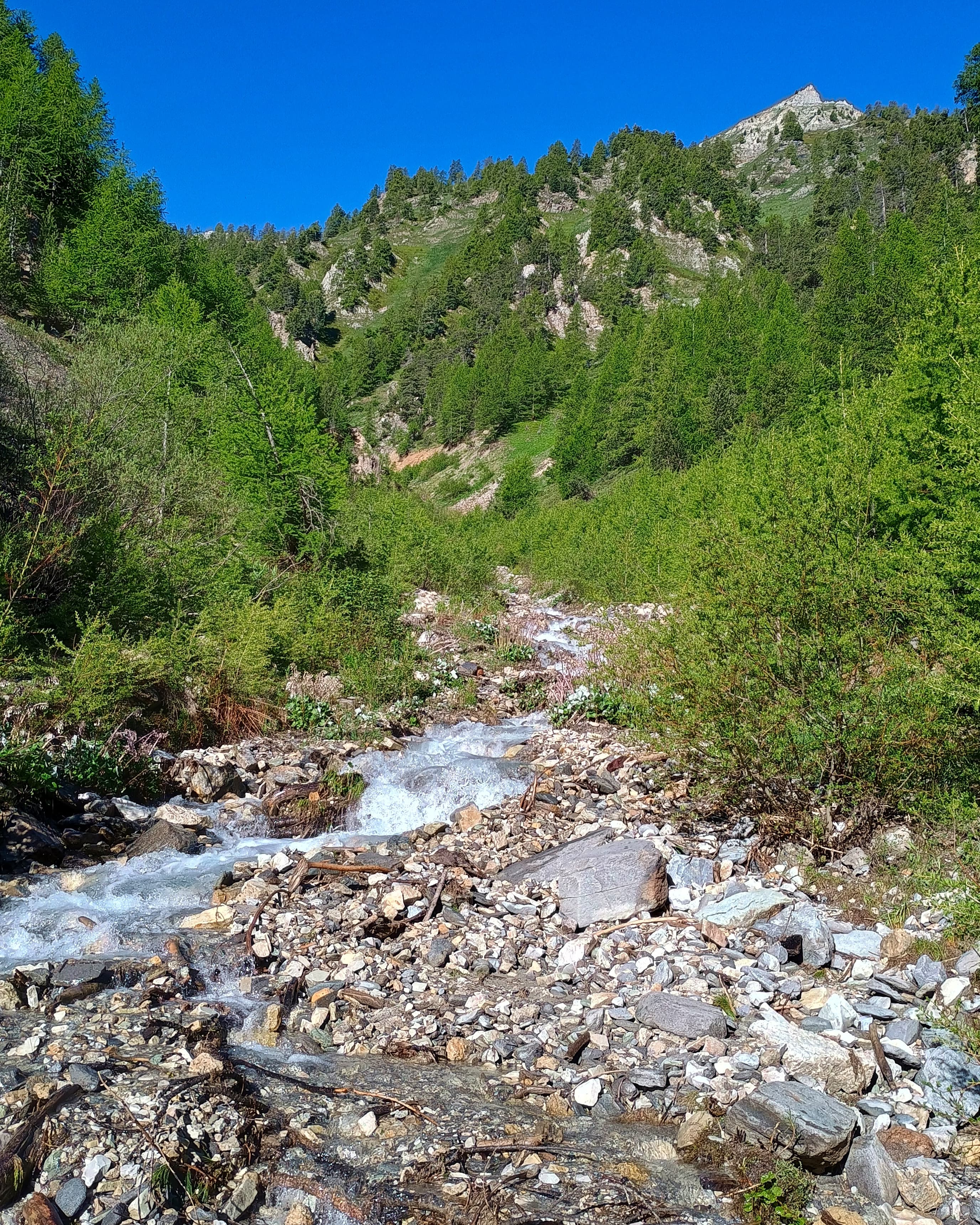 Via Alpina Red R126 — Provence-Alpes-Côte d'Azur